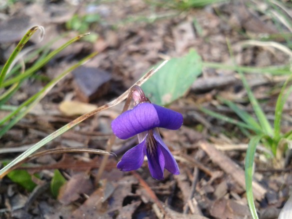 Proof- Spring is Coming!